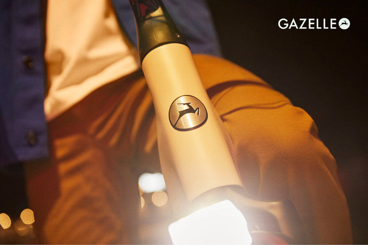 Gazelle Bikes