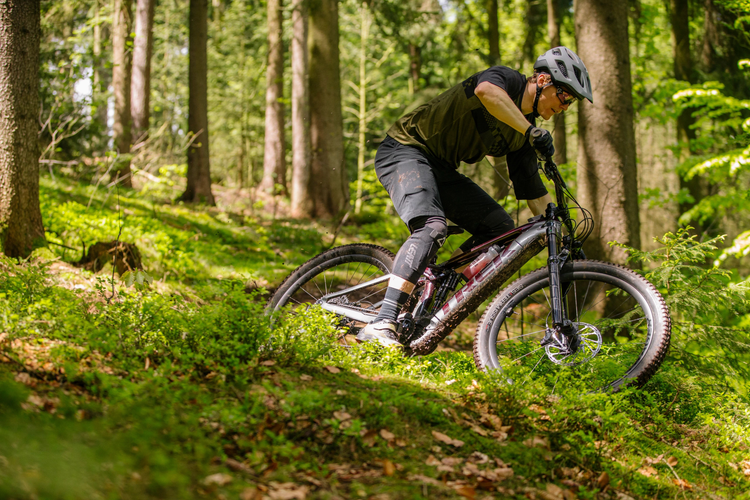 Electric Mountain Bikes