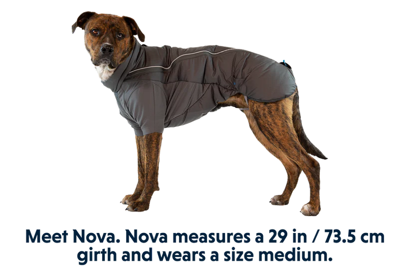 Load image into Gallery viewer, Ruffwear Furness Jacket