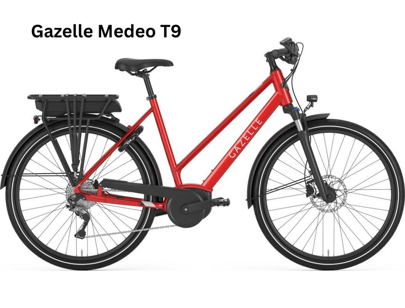 Load image into Gallery viewer, Electric Rental