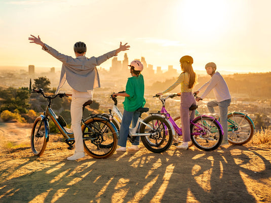 2026 Electra Townie Go!