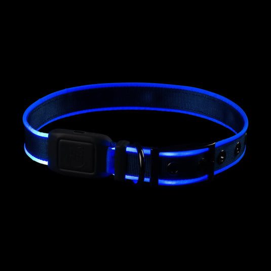 Nite Ize NiteDog Rechargable Led Collar