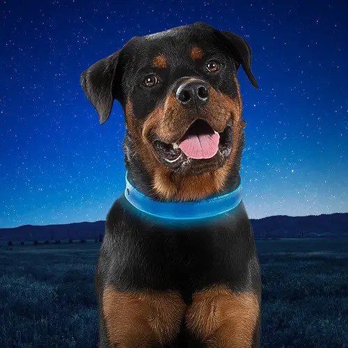 Nite Ize NiteDog Rechargable Led Collar
