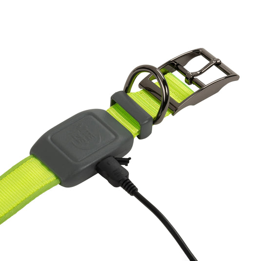 Nite Ize NiteDog Rechargable Led Collar