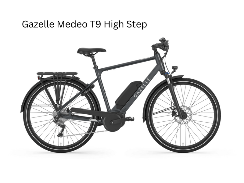 Load image into Gallery viewer, Electric Rental