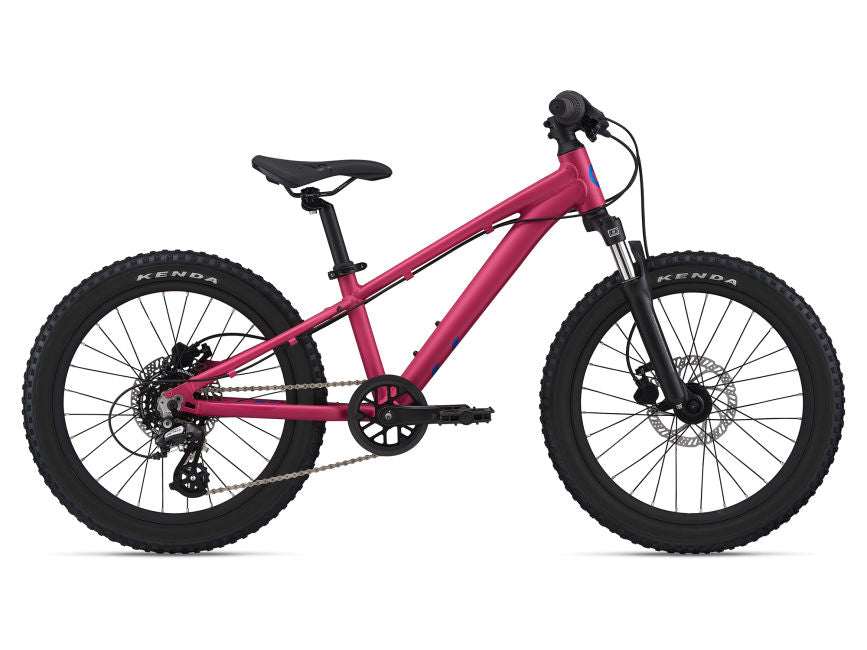 Liv flourish fs 2 deals 2021