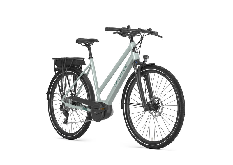 Load image into Gallery viewer, Gazelle Medeo T9 City HMB