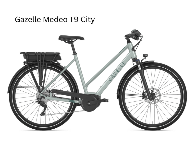 Load image into Gallery viewer, Electric Rental