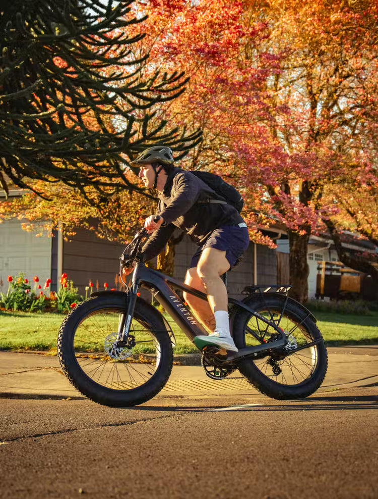 Electric Fat Bikes
