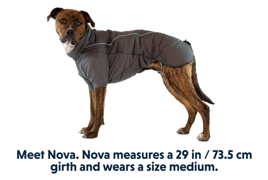 Ruffwear Furness Jacket