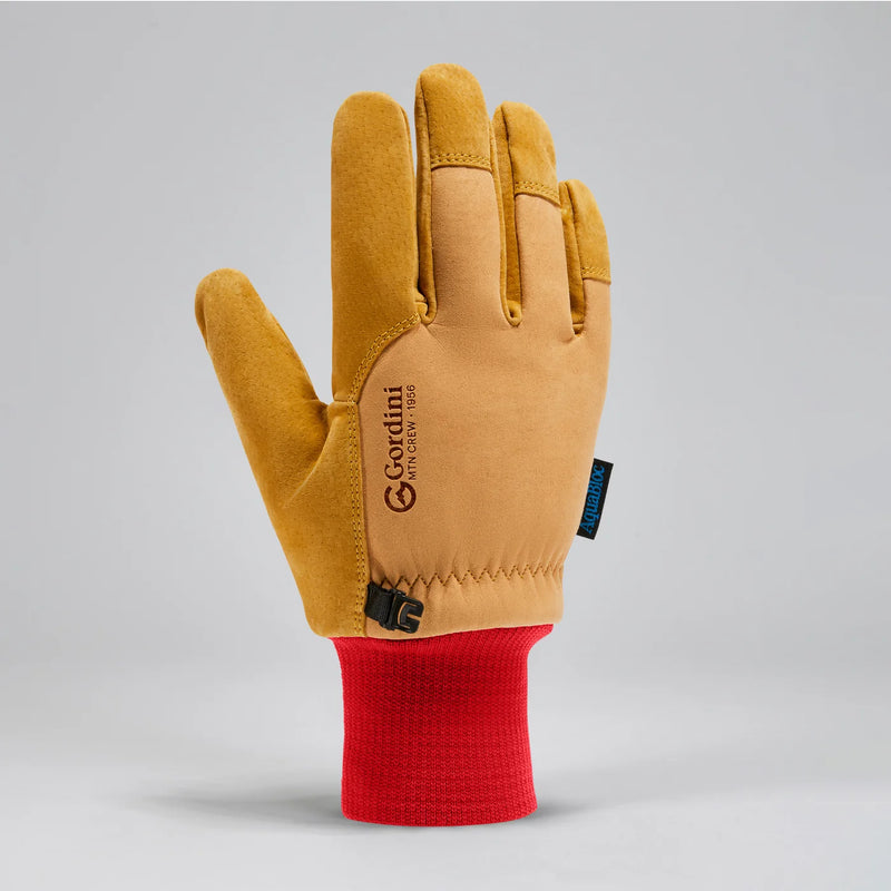 Load image into Gallery viewer, Gordini Men's MTN Guide Glove

