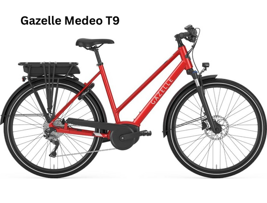 Electric Rental