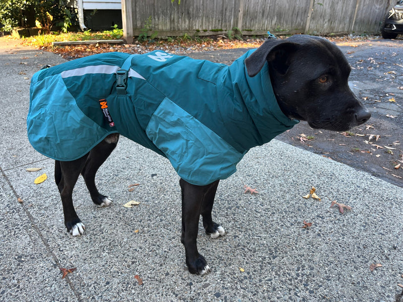 Load image into Gallery viewer, Non-Stop Glacier Jacket 3.0 / Size 40 / teal
