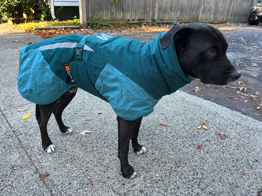 Non-Stop Glacier Jacket 3.0 / Size 40 / teal